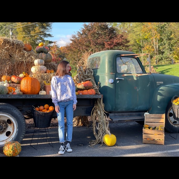 Dancing Skeletons Halloween Sweatshirt - Picture 3 of 3